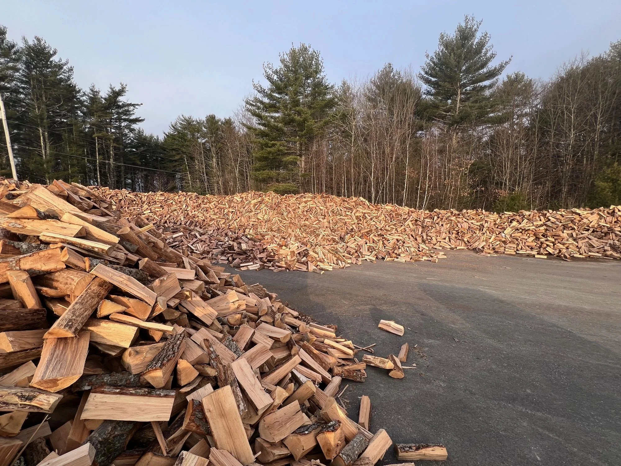 Rows of split, seasoned firewood stacked at the yard
